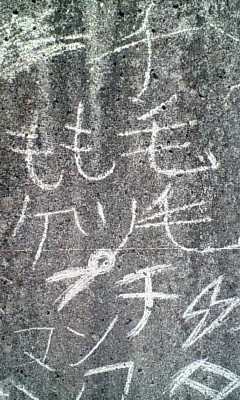20080818130702.jpg