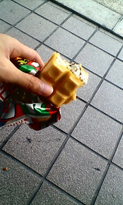 20080814151426.jpg