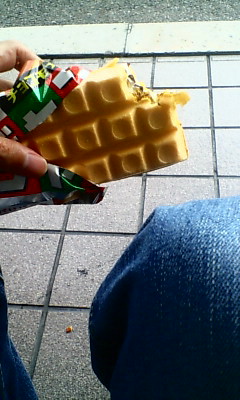 20080814150946.jpg